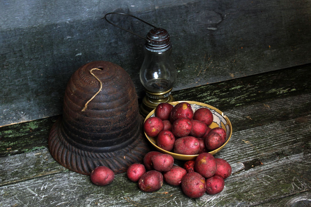 Photo of potatoes, ceramic bowl, hurricane lamp, antique brass bell