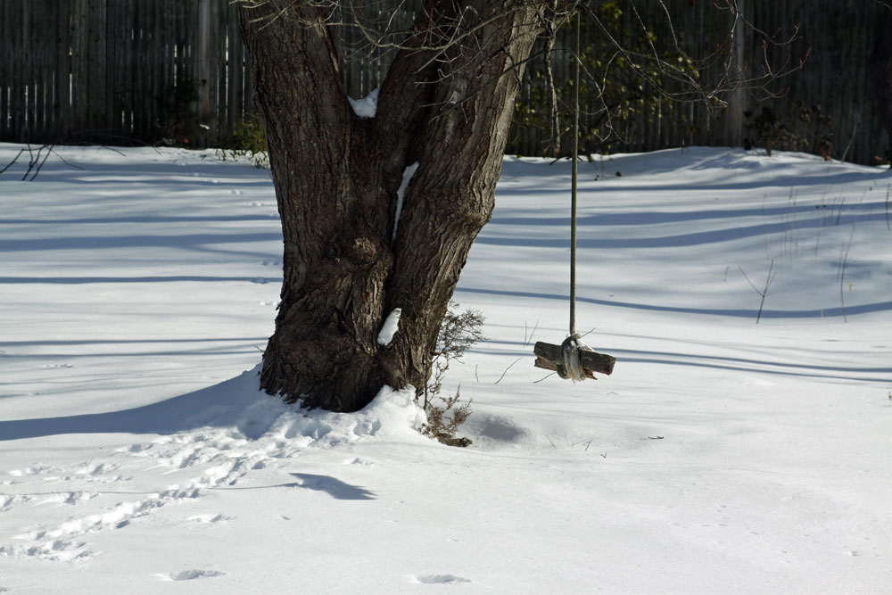 Photo of wood tree swing in winter